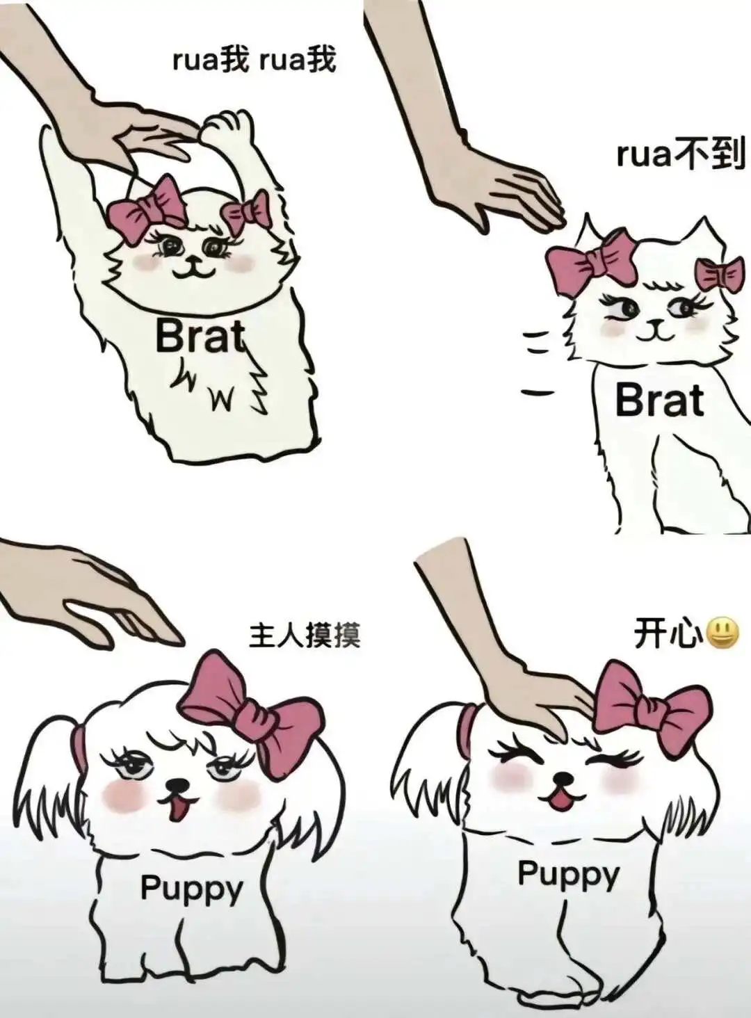 西檬之家-字母圈新人DT是什么？BDSM中的情趣对话指南