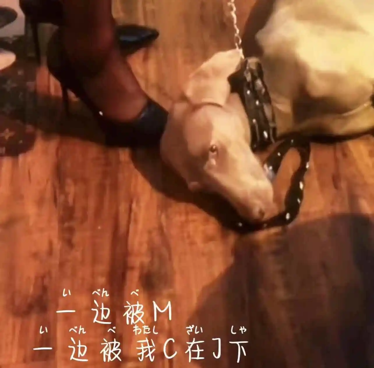 西檬之家-字母圈新人指南：从理解SSC原则到掌握基础术语