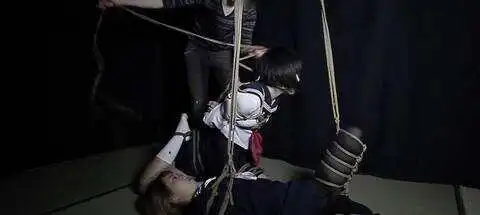 【西檬之家】新人入圈指南：轻松理解BDSM亚文化核心术语