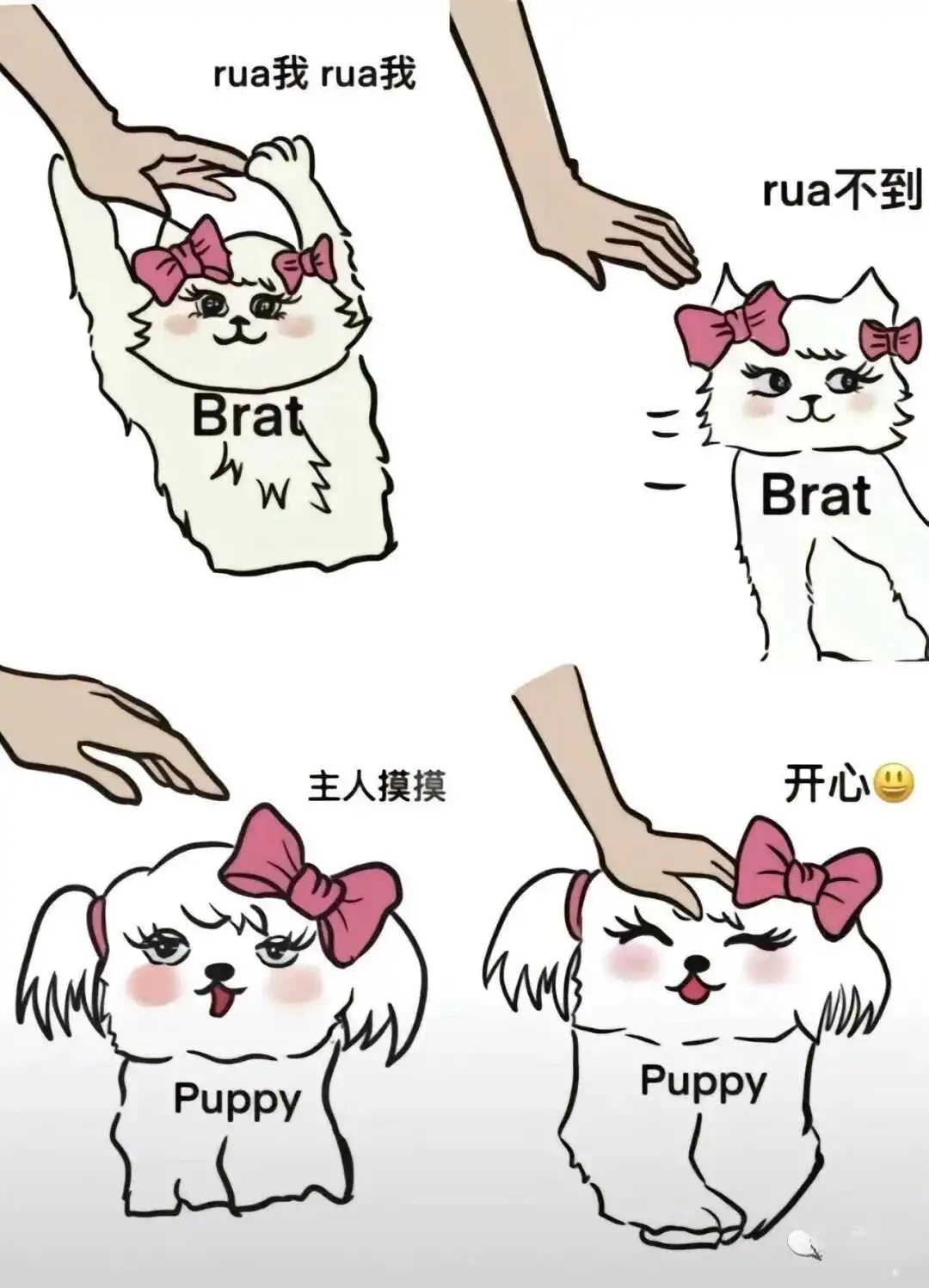 【西檬之家】PE权力交换：字母圈新人的核心安全指南