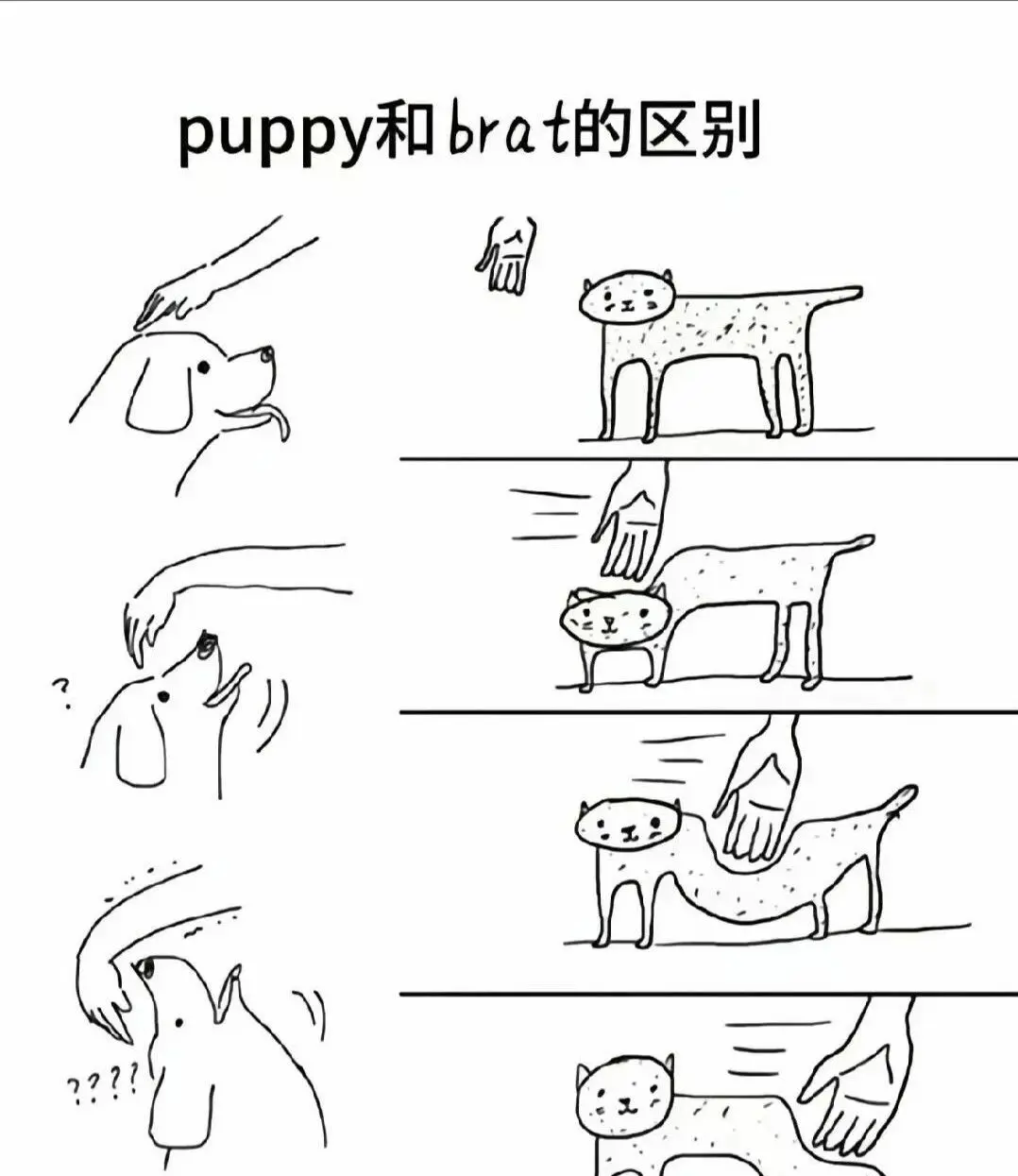西檬之家-字母圈k8猫系是什么？