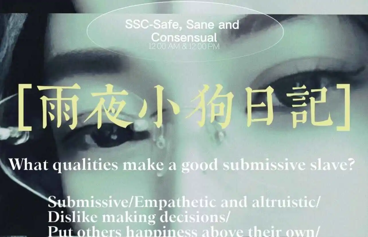 西檬之家-字母圈新人如何理解DT术语与关系