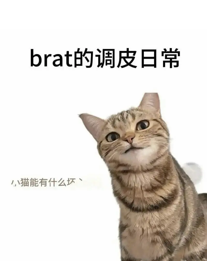 【西檬之家】TK（挠痒痒）是什么？字母圈新人权威指南