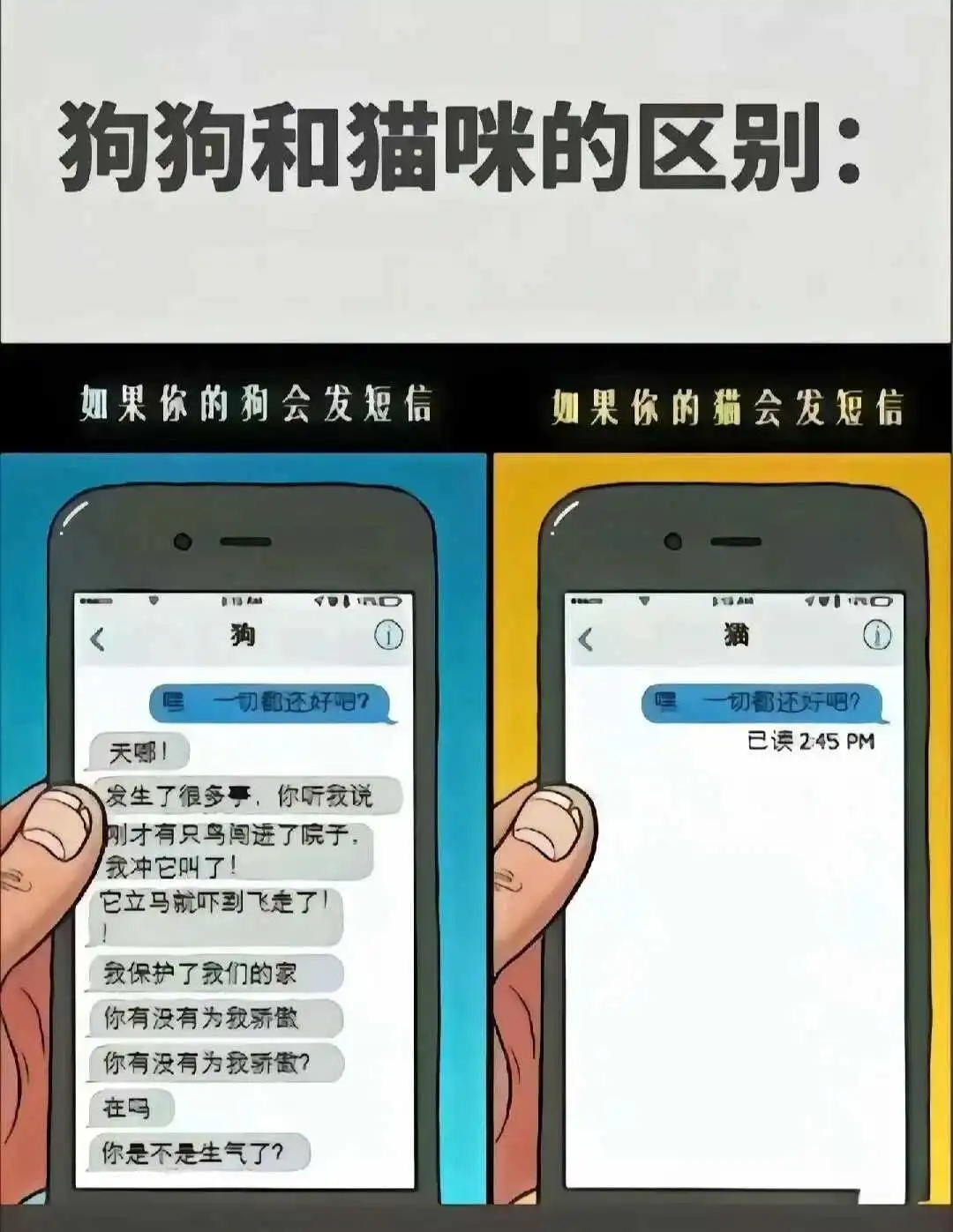 西檬之家-k8是什么？解密字母圈中这只傲娇猫咪的 BDSM 秘密