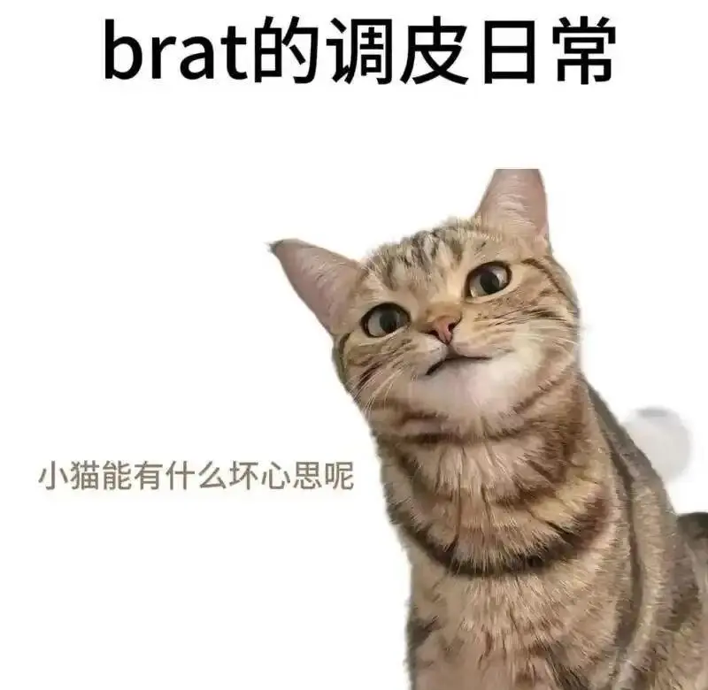 西檬之家-践踏癖是什么？字母圈新人指南
