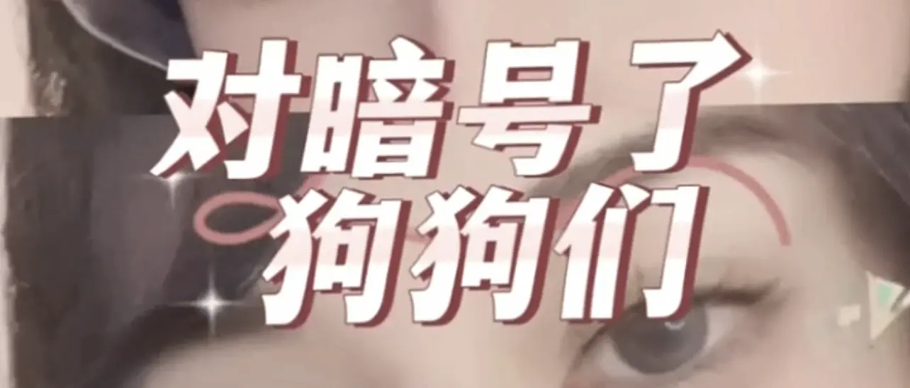 SM亚文化：实用指南
